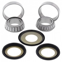 LENKKOPFLAGER KIT F. FANTIC XX XE125