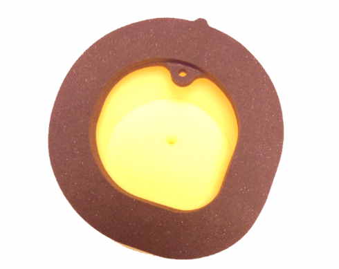 LUFTFILTER ELEMENT XX XE 2T 2021- GEÖLT